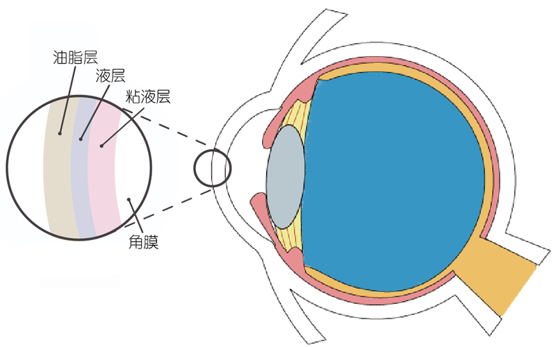 Vol.21 眨眼的作