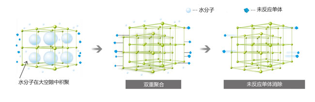 Double-polymerization